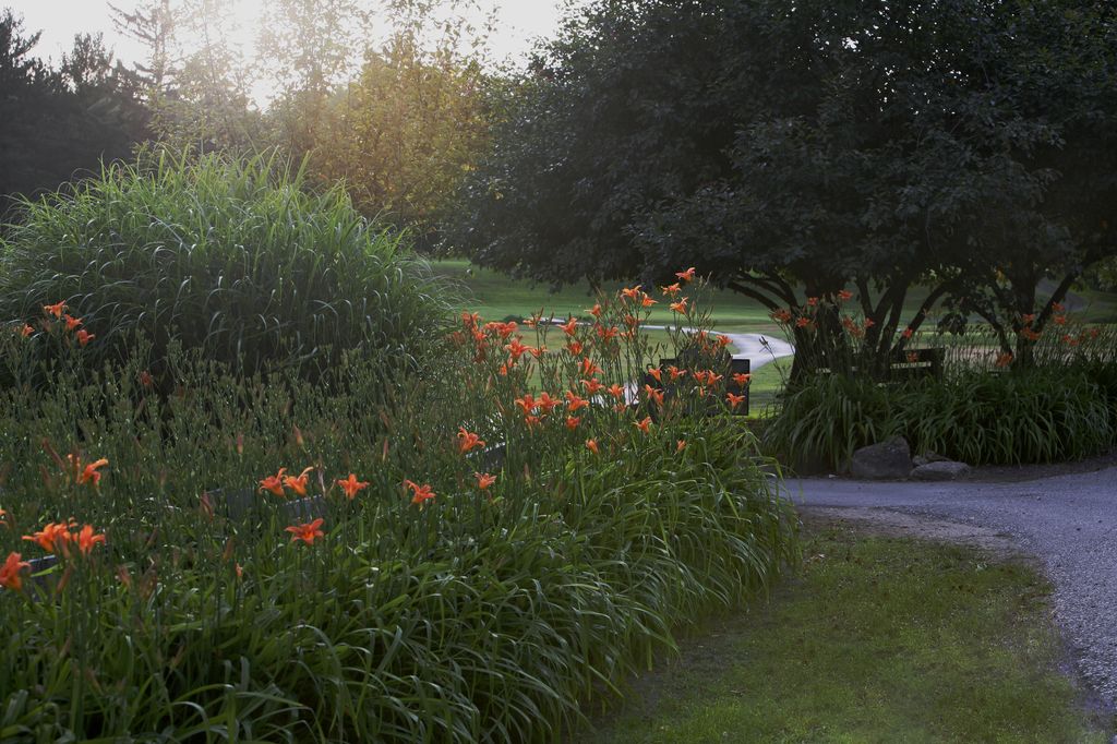 Flowers on golf course